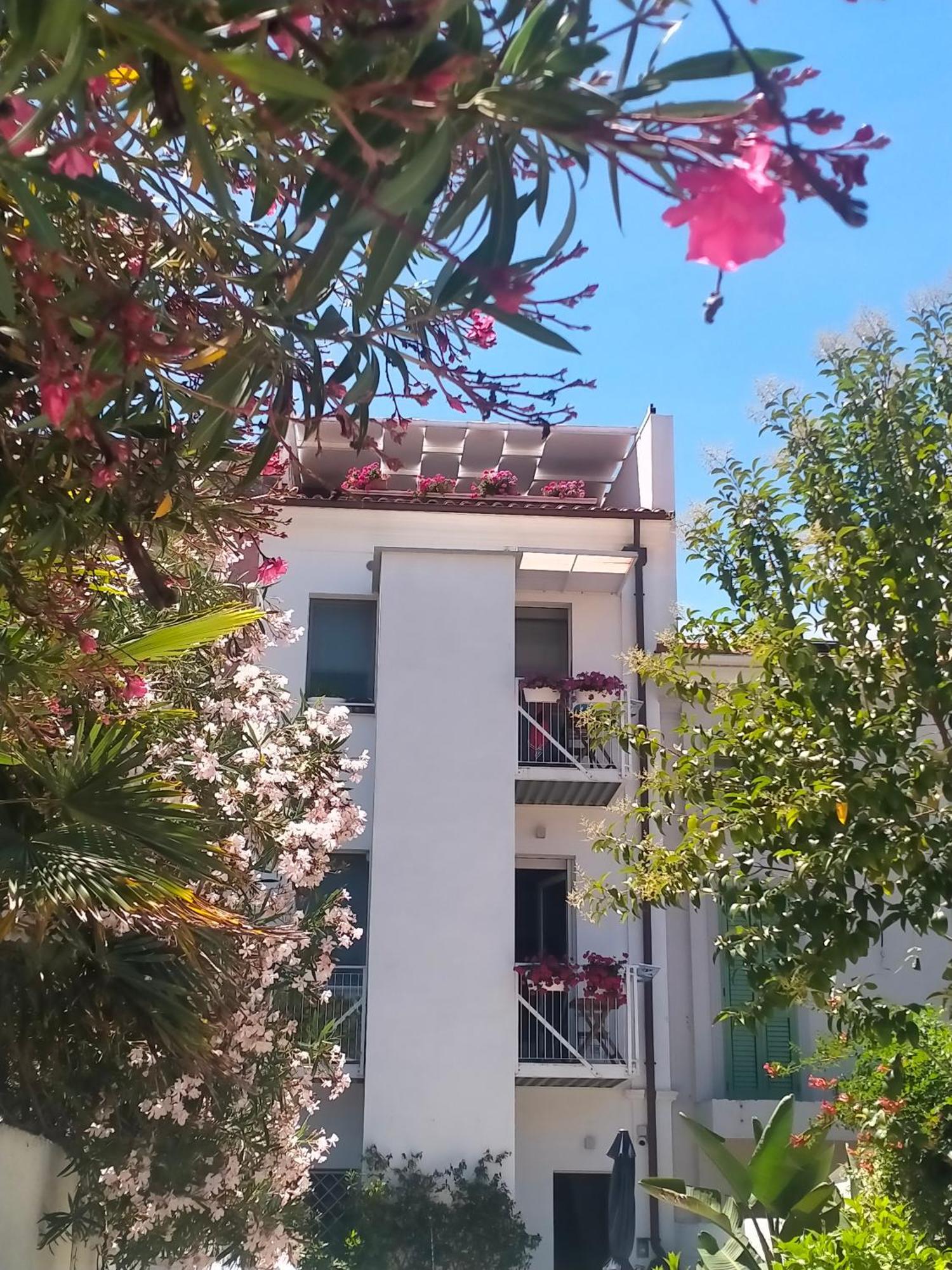 B&B Previsto Sole Civitanova Marche Eksteriør bilde